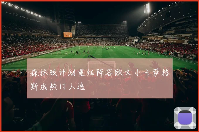 森林狼计划重组阵容欧文小卡萨格斯成热门人选