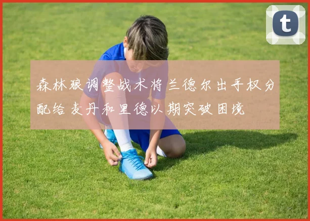 森林狼调整战术将兰德尔出手权分配给麦丹和里德以期突破困境
